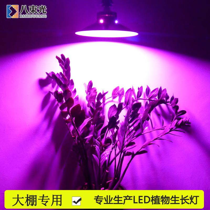 led植物生長燈多肉植物全光譜室內(nèi)大棚補光燈蘭花蔬果光合作用燈